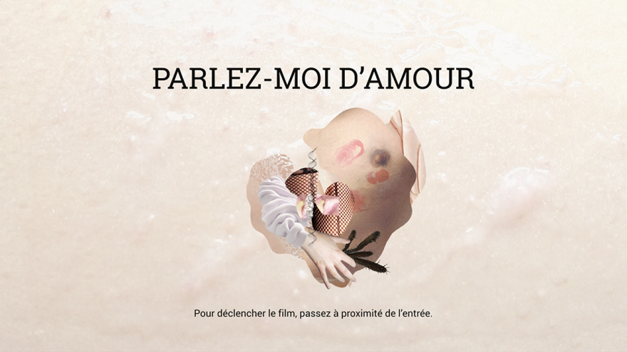 Exposition de l'Amour au Palais de la découverte, Charte graphique multimédia, animations