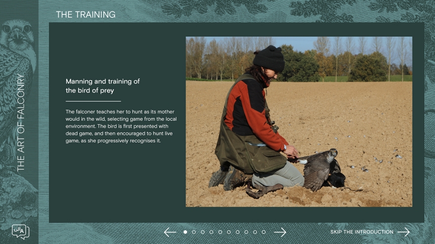 Musée international de la Fauconnerie