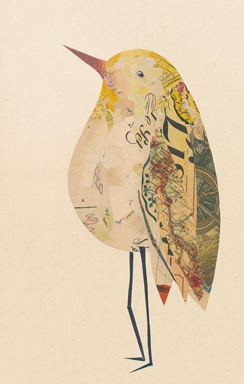 oiseaux-collage-valentine hebert-