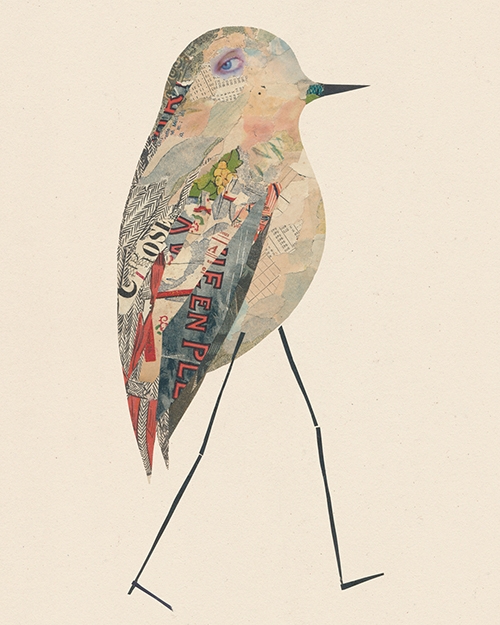 oiseaux-collage-valentine hebert-