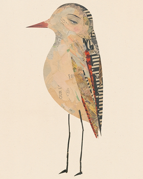 oiseaux-collage-valentine hebert-