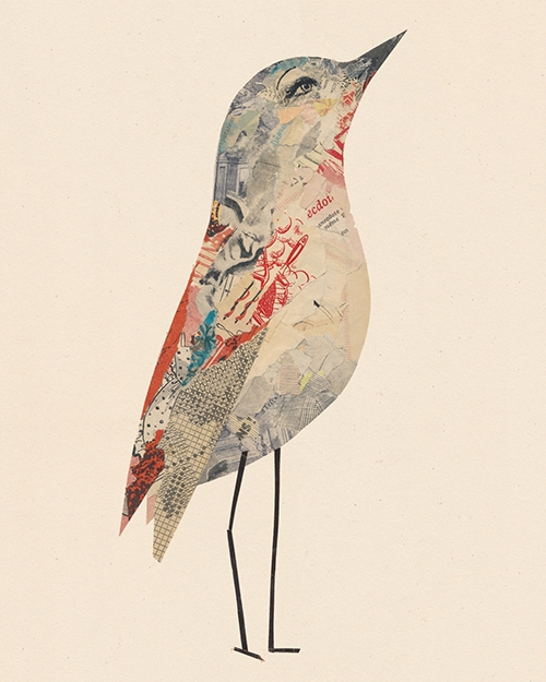 oiseaux-collage-valentine hebert-